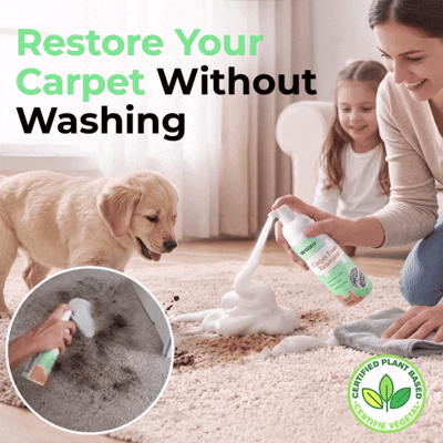 No-Rinse Carpet & Upholstery Stain Remover with Towel